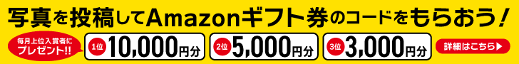 写真を投稿してAmazonギフト券のコードをもらおう！