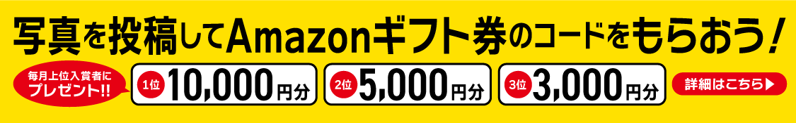 写真を投稿してAmazonギフト券のコードをもらおう！